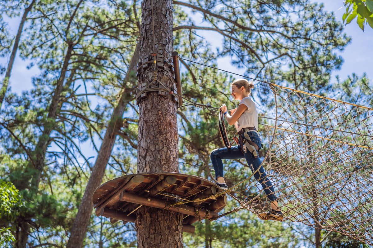 Structure en bois fixée dans un arbre vivant — parcours aventure
