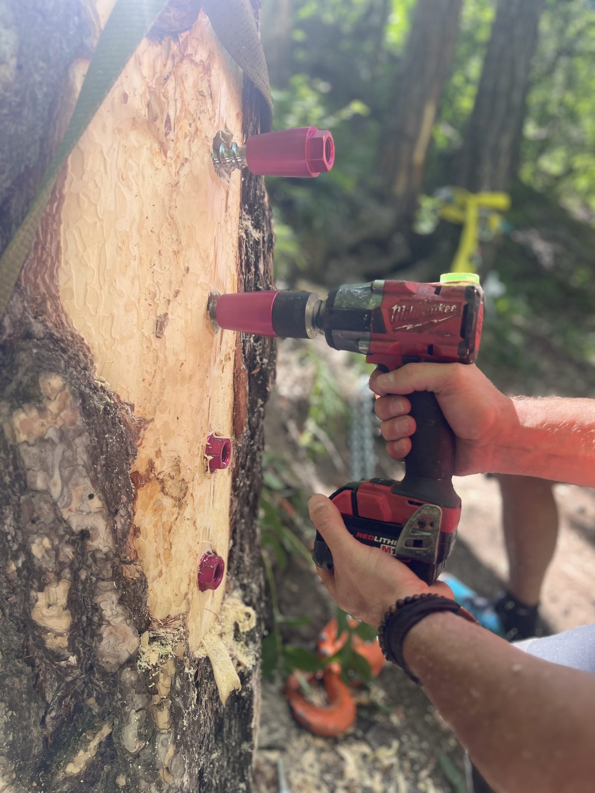 Vissage dans l'arbre — test terrain